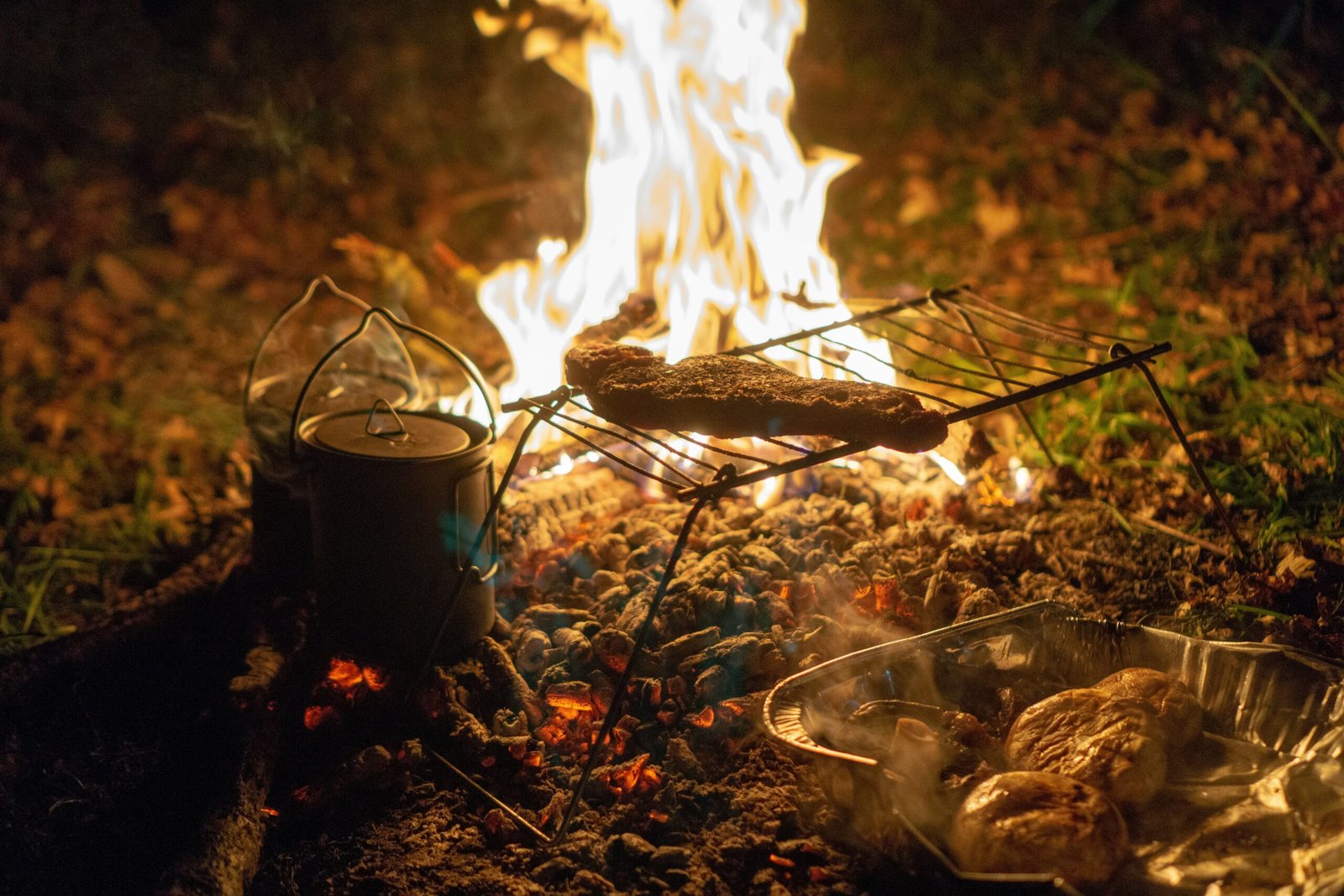 Bushcraft et Survie en Forêt : Les compétences traditionnelles pour survivre dans la nature